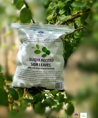 Organic Sidr Leaves (100 gm) – Beri Ke Pattay powder for hair and skin, sun‑dried, chemical‑free, perfect for DIY herbal remedies. , imagecaption=Pure 100 % organic Sidr leaves (Beri Ke Pattay) – ideal for natural hair growth, dandruff control, acne‑free skin, and DIY skincare recipes.