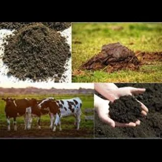 image-alttext-here, imagecaption=image-caption-here