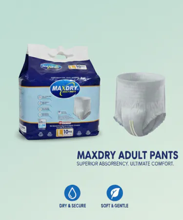 maxdry-adult-pants-large-10-pcs-packaging-khareedo-kharedo**