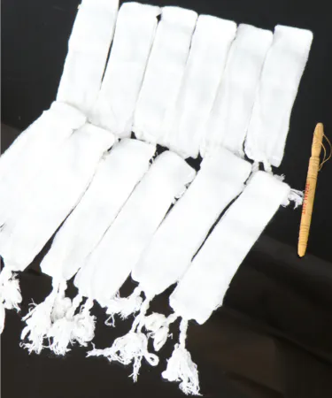 image-alttext-here , imagecaption= image-caption-here ,