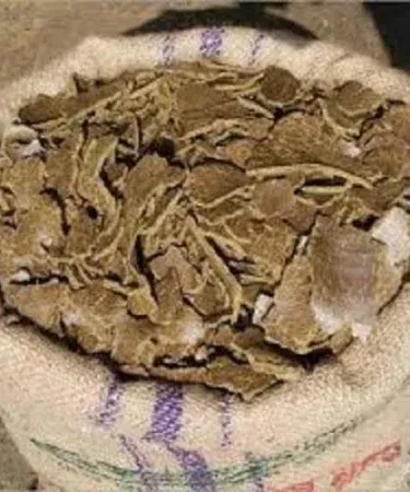 Organic Mustard Cake Fertilizer 1 kg packet – 100% organic, chemical‑free soil booster for garden and crops