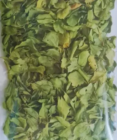 Natural dried Sidr leaves powder in a glass jar, imagecaption=Pure herbal Sidr leaf powder – perfect for DIY hair and skin care ,