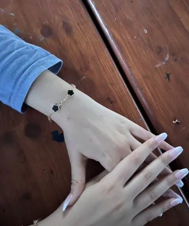 image-alttext-here , imagecaption= image-caption-here ,