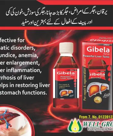 Gibela Syrup 240 ML bottle – children’s cough and cold remedy , imagecaption=Gibela Syrup 240 ML – trusted cough relief for kids, available on Khareedo & Kharedo with Check on Delivery ,