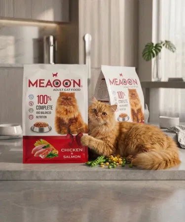 Chicken and Salmon Meaoon Cat Food 400g bag – premium high‑protein dry cat food for kittens and adult cats, imagecaption=Premium Meaoon Chicken & Salmon Dry Cat Food 400g – Available on Khareedo | Kharedo.