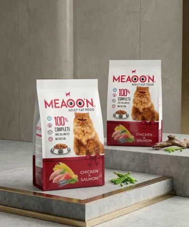Chicken and Salmon Meaoon Cat Food 400g bag – premium high‑protein dry cat food for kittens and adult cats, imagecaption=Premium Meaoon Chicken & Salmon Dry Cat Food 400g – Available on Khareedo | Kharedo.
