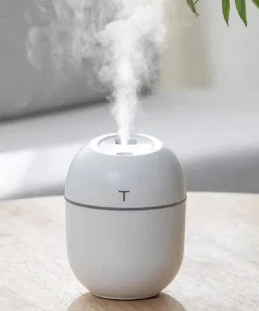 Portable Mini Air Egg Humidifier – compact ultrasonic mist maker for home and travel