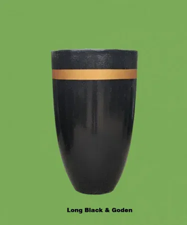 Corn Leaf Premium Plant (Dracaena Fragrans) in a sleek ceramic pot – large Makki Patta indoor plant with elegant tropical leaves