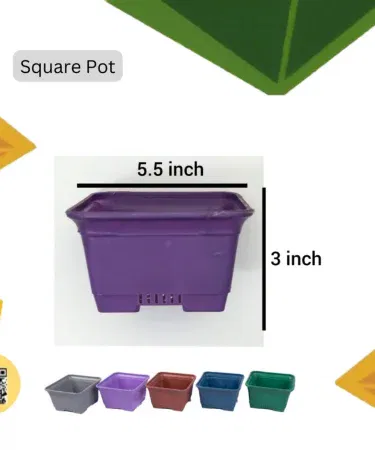 High quality square box pot for home office decoration and indoor outdoor plant use