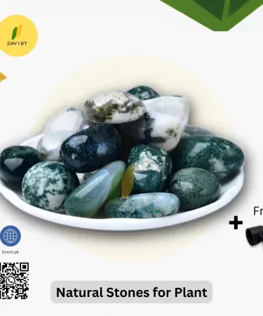 Envirt natural stone pieces arranged with indoor plants for home and office décor, imagecaption=Elegant natural stone décor for plants – perfect for home, office, and garden spaces.