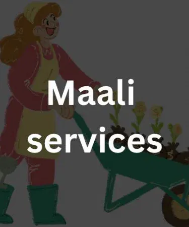Hire a Maali (Gardener) service in Punjab – professional garden care by Plant Parlour