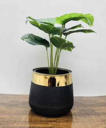 China Fancy Planter Pot – Black and Golden, 9x9 inches, heavy‑duty plastic with metal strip edge, suitable for indoor plants