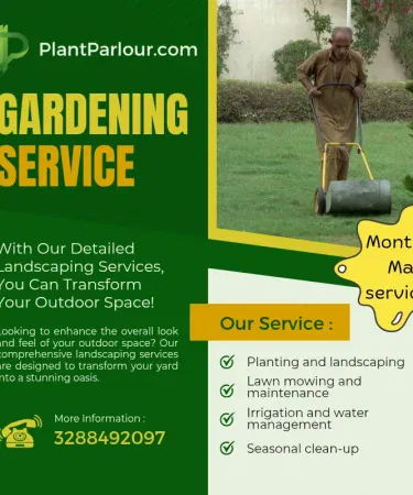 Professional gardener trimming a lawn and planting flowers in a Punjab garden , imagecaption=Expert Mali (gardener) service in Punjab – Book now on Khareedo/Kharedo with Check‑on‑Delivery ,