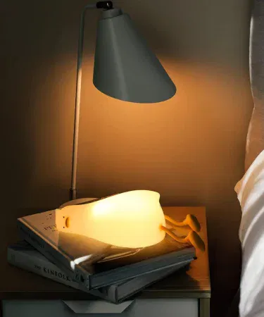 Cute duck character LED night lamp with soft silicone touch, rechargeable, perfect for kids bedroom and nursery