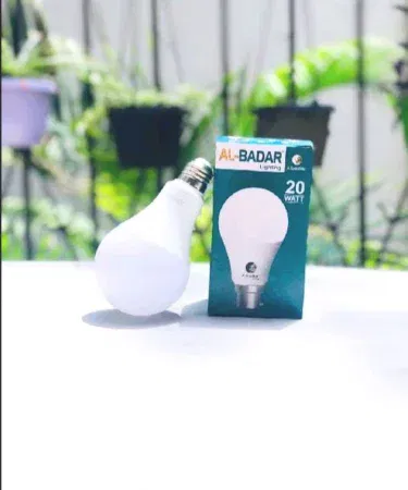 20 watt light bulb with E27 or B22 base sold in Pakistan