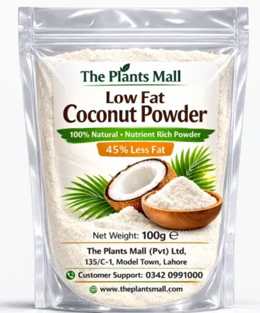 Low Fat Desiccated Coconut Powder | Khareedo