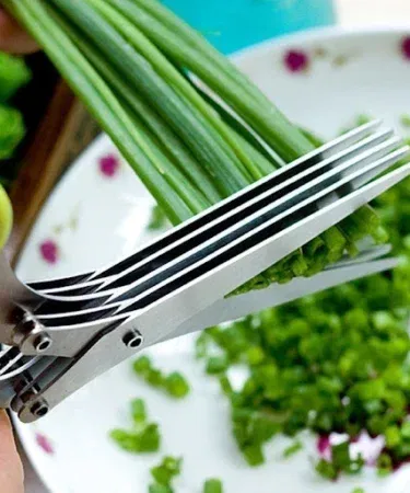 5-layer stainless steel kitchen scissors for cutting herbs and spices, durable and efficient, sold in Pakistan