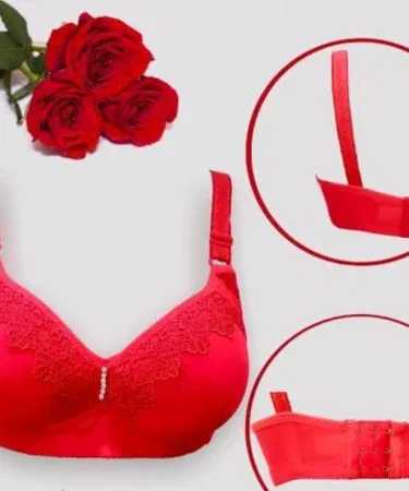 Padded Net & Jersey Push Up Bra for Brides | Khareedo