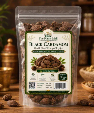 Black Cardamom (Bari Elaichi) 50g | Khareedo