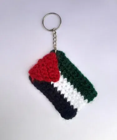 Handmade crochet Palestine flag keychain, Palestinian flag bag charm, key ring, durable, lightweight, gift, Pakistan