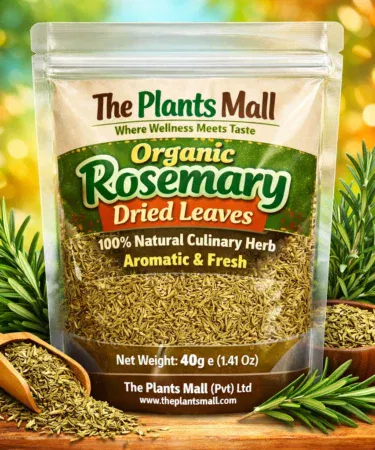 Organic Rosemary Dried Leaves for Hair, Tea & Cooking | Khareedo