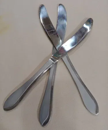 Stainless steel butter knife with serrated and slotted blade for easy spreading, sold in Pakistan.