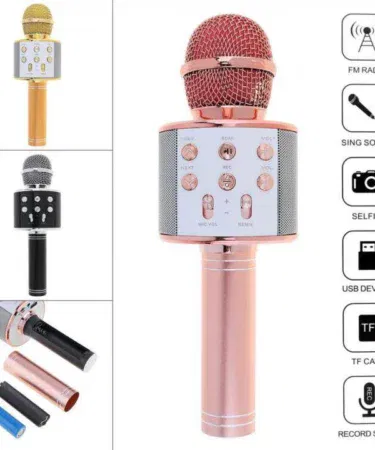 WS-858 Wireless Karaoke Microphone with Bluetooth Speaker and Voice Changer for parties in Pakistan