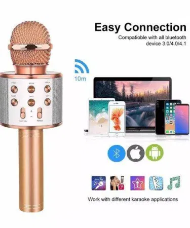 WS-858 Wireless Karaoke Microphone with Bluetooth Speaker and Voice Changer for parties in Pakistan