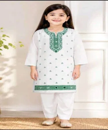 Stylish 14 August 2 piece Pakistani lawn suit with mirror and screen print