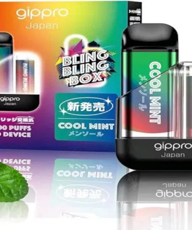 BLING BLING 15000 PUFFS E-Shisha Cool Mint rechargeable disposable vape with 3 cartridges sold in Pakistan