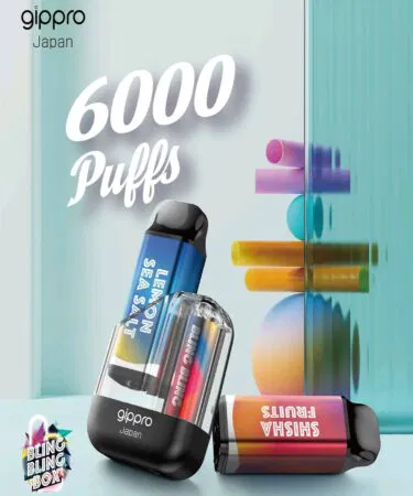 BLING BLING 15000 PUFFS E-Shisha Cool Mint rechargeable disposable vape with 3 cartridges sold in Pakistan
